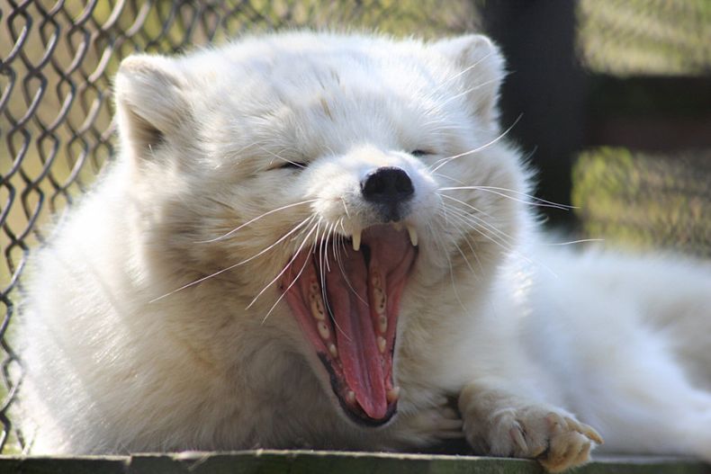 Прикольные картинки (161 фото)