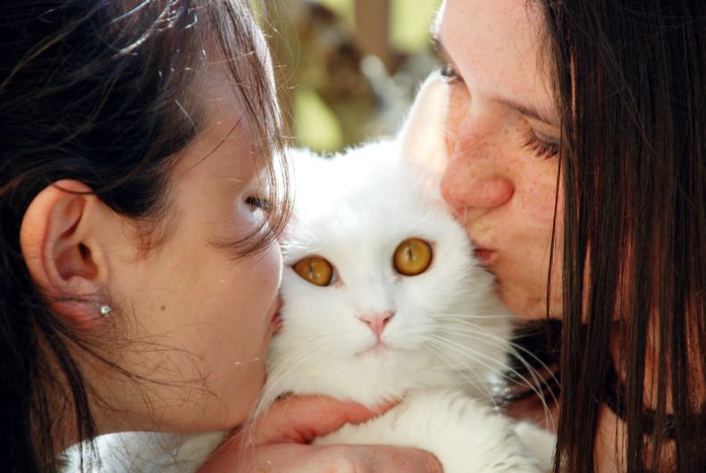 Прикольные картинки (161 фото)