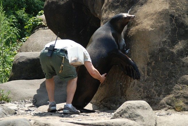 Прикольные картинки (161 фото)