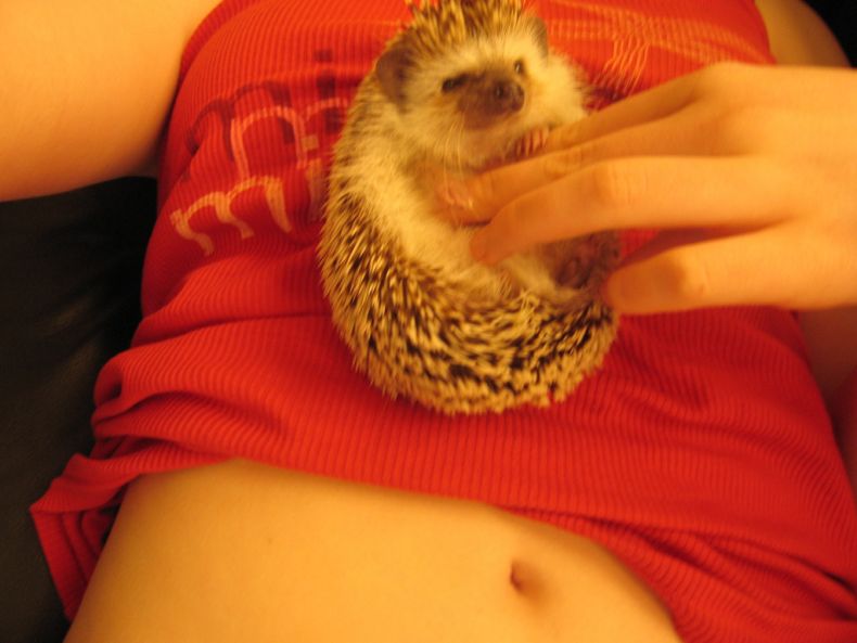 Прикольные картинки (161 фото)