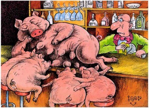 Прикольные картинки (161 фото)