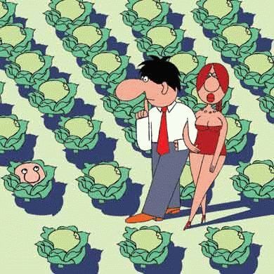 Прикольные картинки (161 фото)