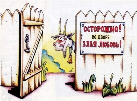Прикольные картинки (161 фото)