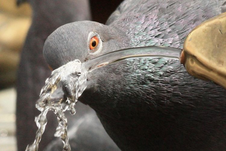 Прикольные картинки (161 фото)