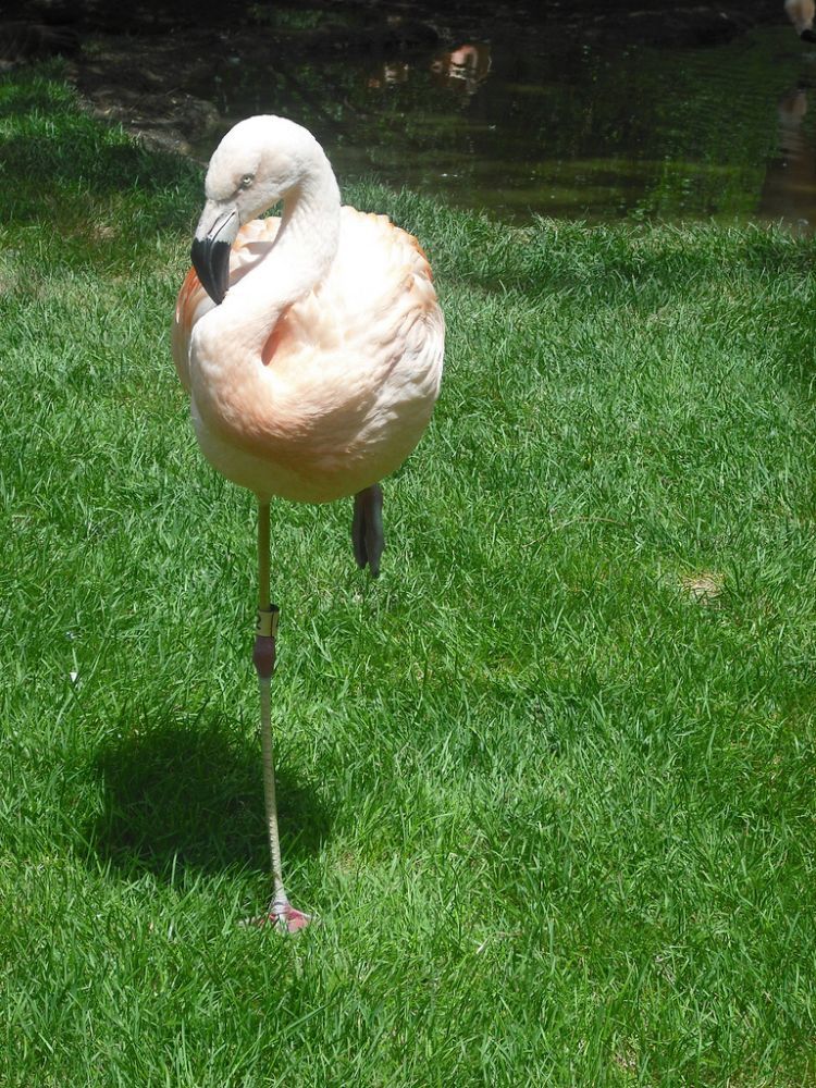 Прикольные картинки (161 фото)