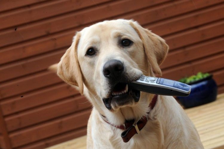 Прикольные картинки (161 фото)