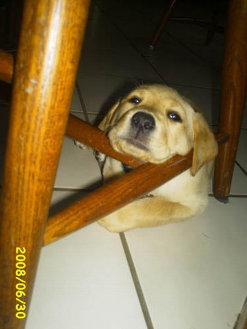 Прикольные картинки (161 фото)