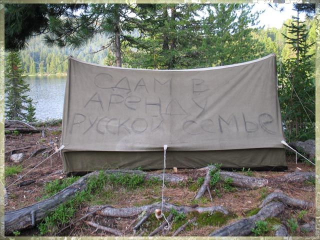 Прикольные картинки (161 фото)