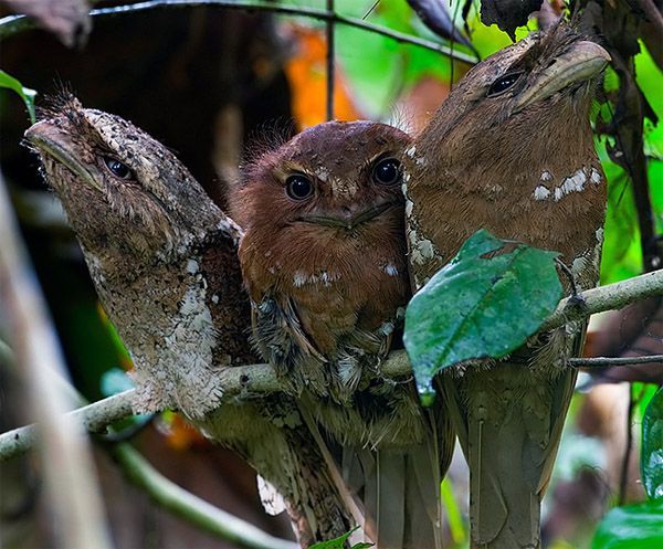 Прикольные картинки (161 фото)