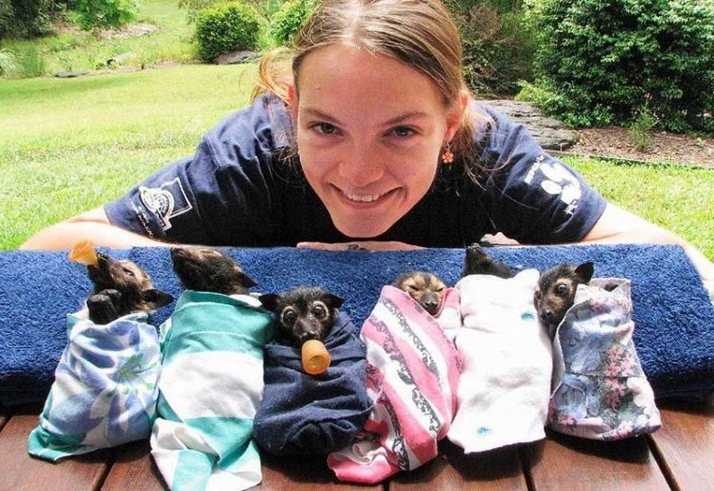 Прикольные картинки (161 фото)