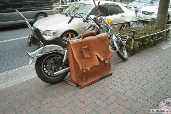 Прикольные картинки (102 фото)