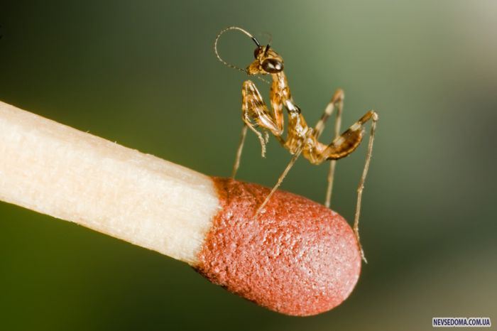 Прикольные картинки (102 фото)