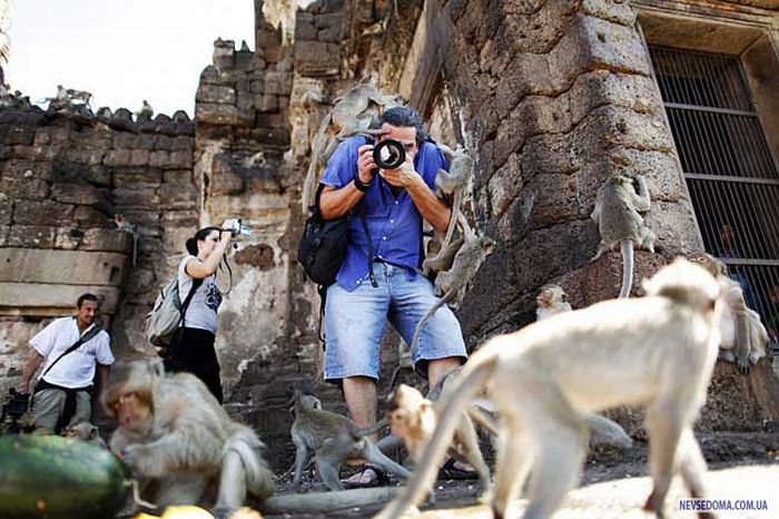 Прикольные картинки (102 фото)