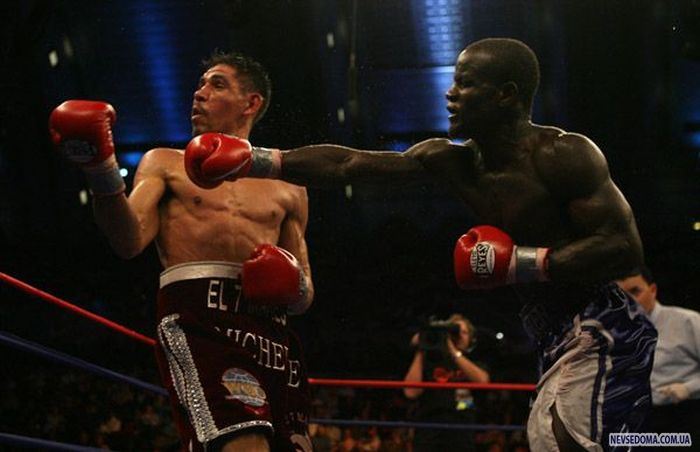 Прикольные картинки (102 фото)