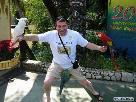 Прикольные картинки (102 фото)