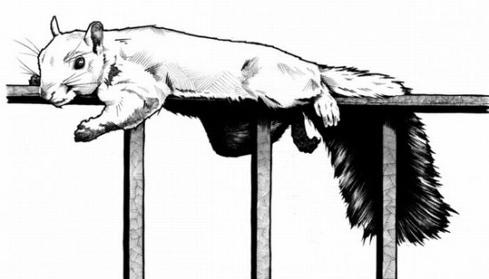 Рисунки Андреаса Прайса (19 фото)