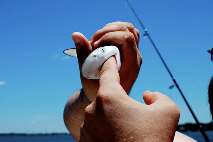 Прикольные картинки (121 фото)