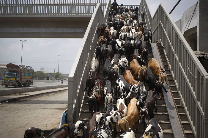 Прикольные картинки (121 фото)