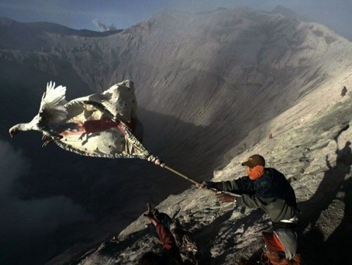 Прикольные картинки (121 фото)