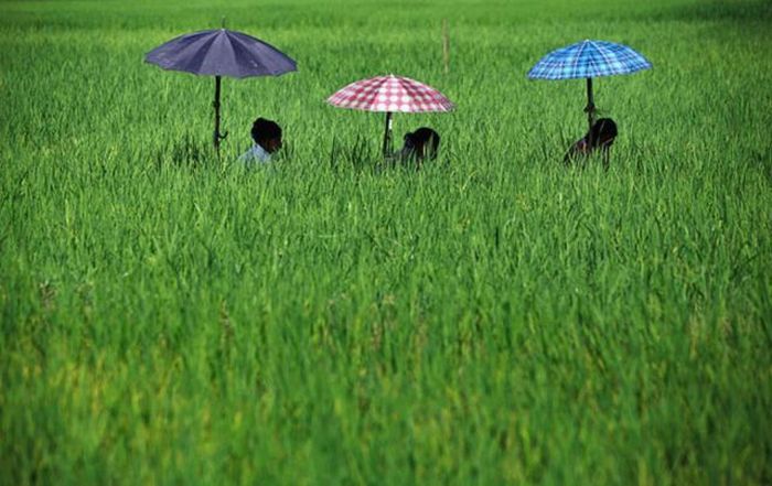 Прикольные картинки (121 фото)