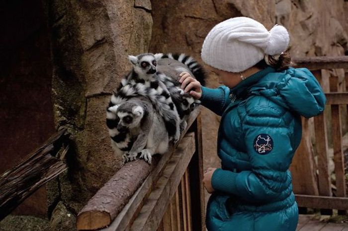 Прикольные картинки (121 фото)