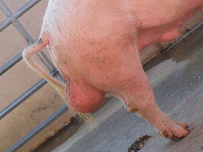 Прикольные картинки (121 фото)