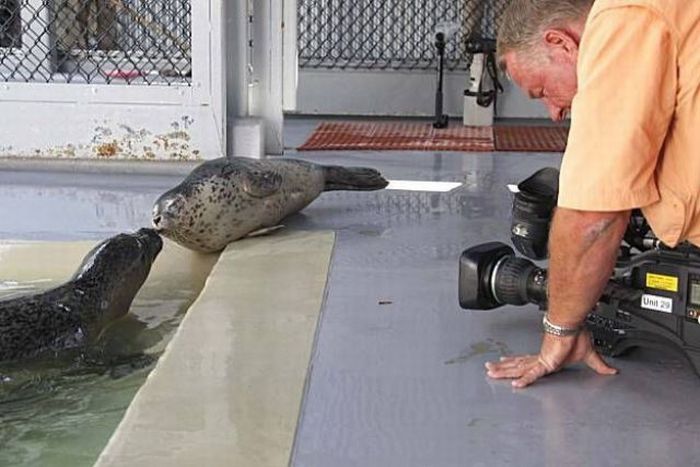 Прикольные картинки (121 фото)