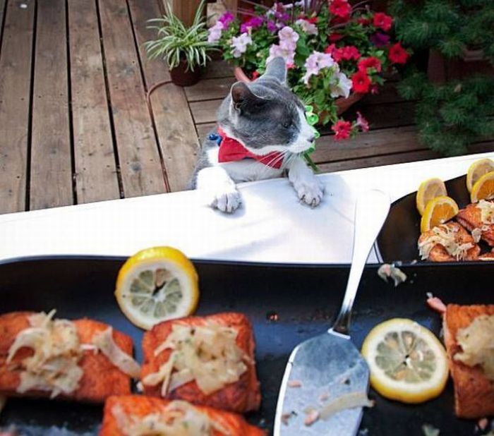 Прикольные картинки (121 фото)