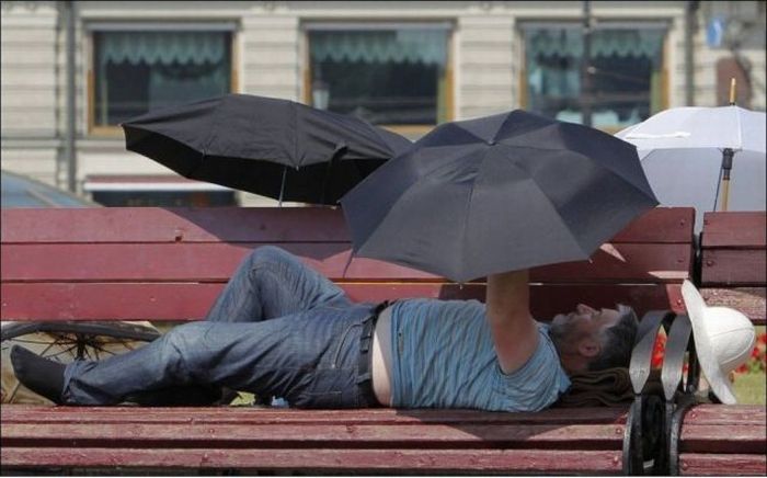 Прикольные картинки (121 фото)