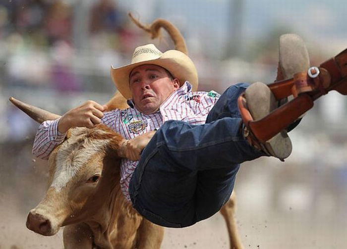 Прикольные картинки (121 фото)