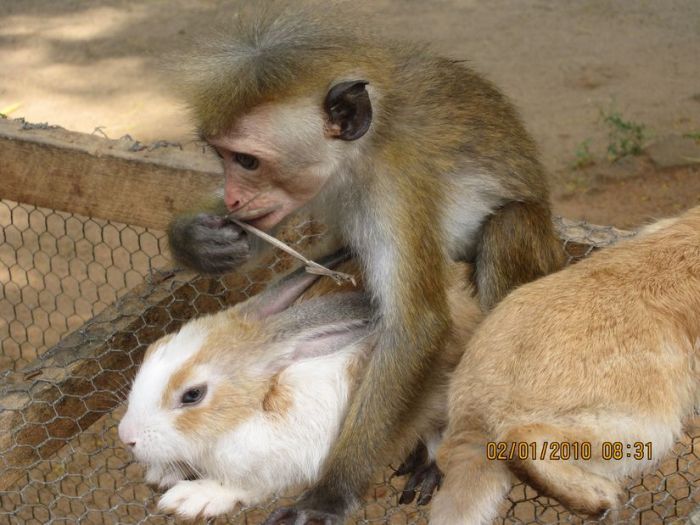 Прикольные картинки (121 фото)