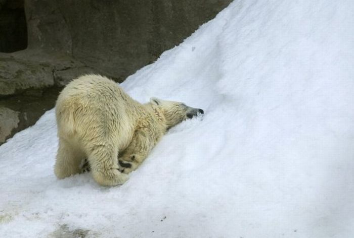 Прикольные картинки (121 фото)