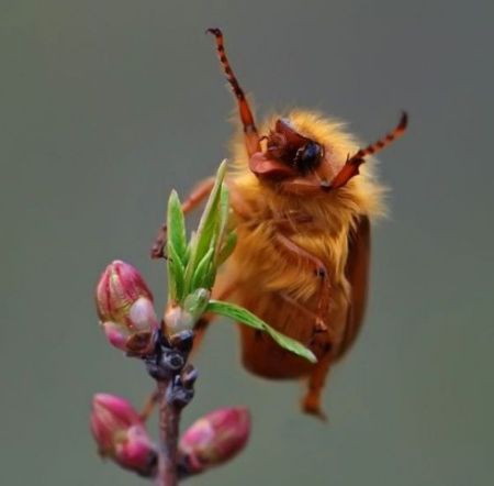 Прикольные картинки (121 фото)