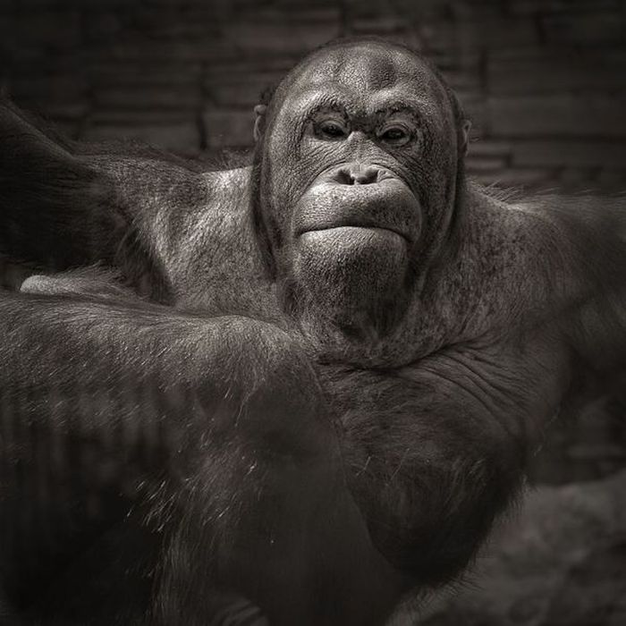 Прикольные картинки (121 фото)