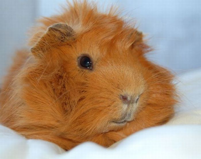 Прикольные картинки (121 фото)