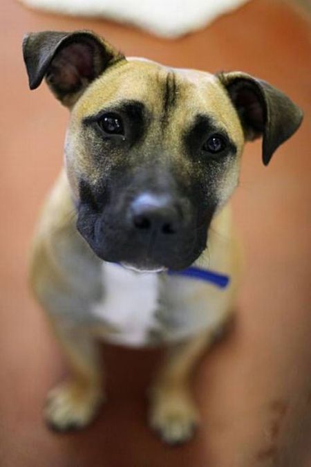 Прикольные картинки (121 фото)