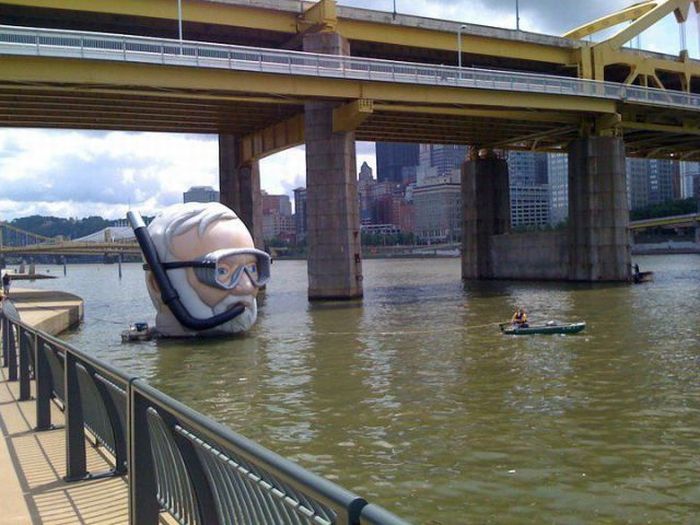 Прикольные картинки