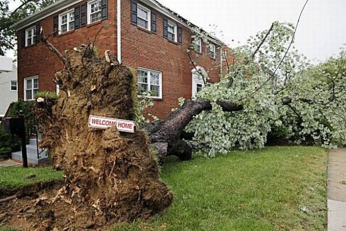 Прикольные картинки (118 фото)