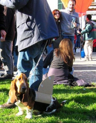 Прикольные картинки (118 фото)