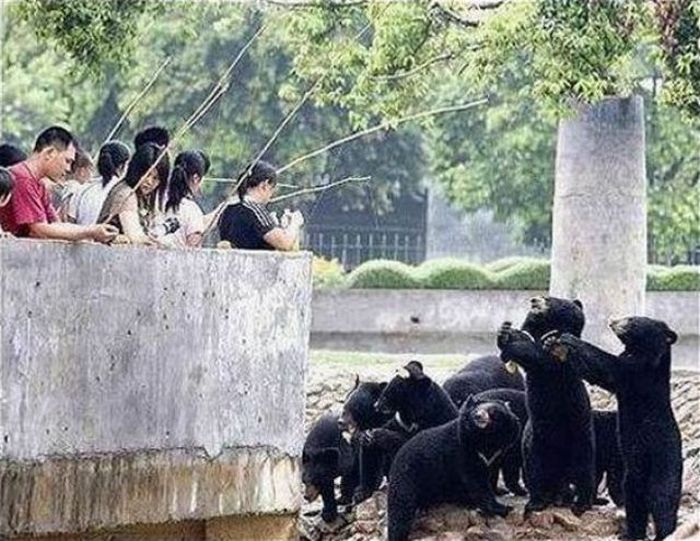 Прикольные картинки (118 фото)