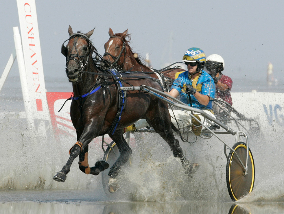 Забеги лошадей. Конный спорт рысистые бега. Рысистые бега во Франции. Рысачьи бега конный спорт. Скачки на лошадях с повозкой.