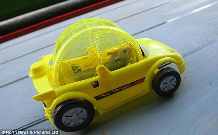 Прикольные картинки