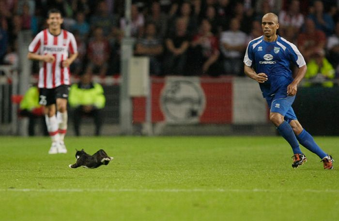 Прикольные картинки (164 фото)