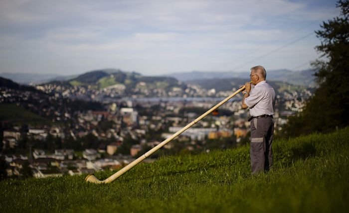Прикольные картинки (164 фото)