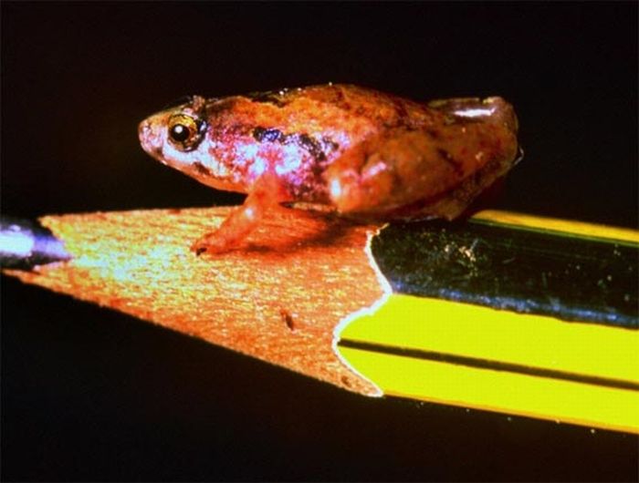 Прикольные картинки (164 фото)