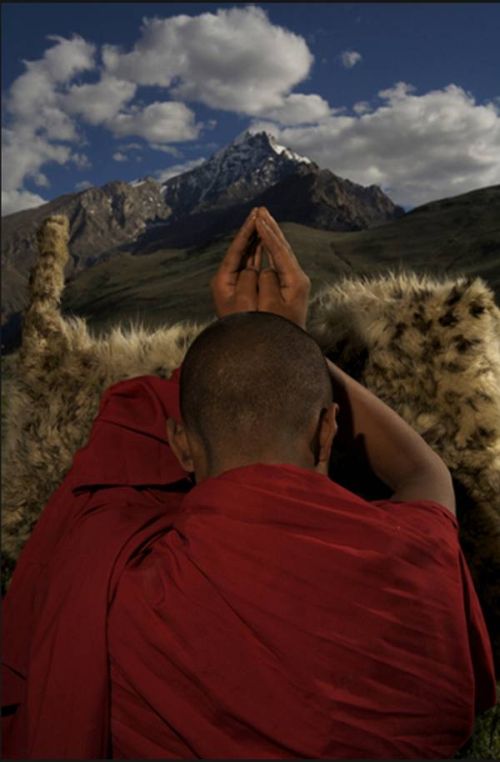 Прикольные картинки (164 фото)