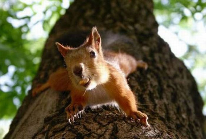 Прикольные картинки (164 фото)