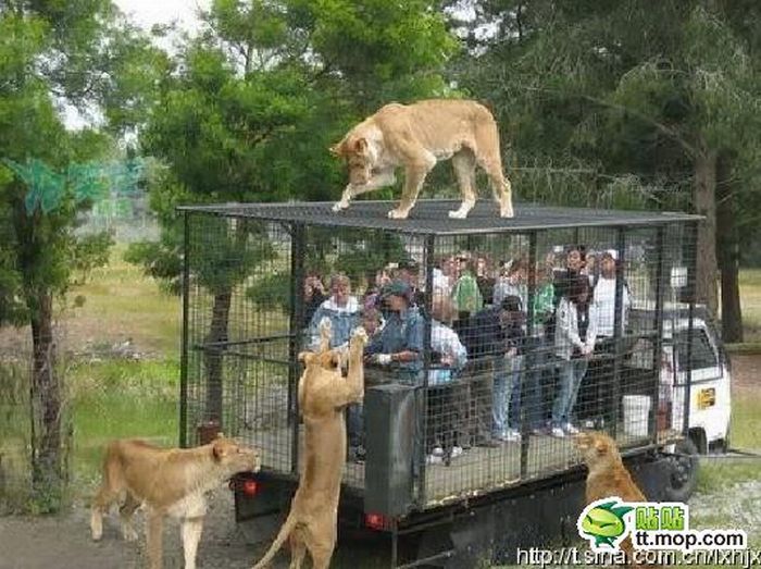 Прикольные картинки (164 фото)