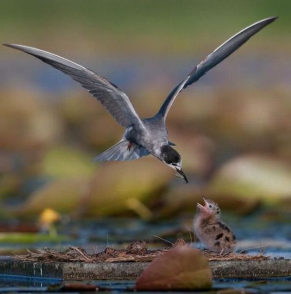 Прикольные картинки (164 фото)