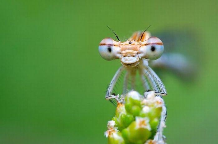 Прикольные картинки (164 фото)